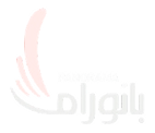 Partner 3